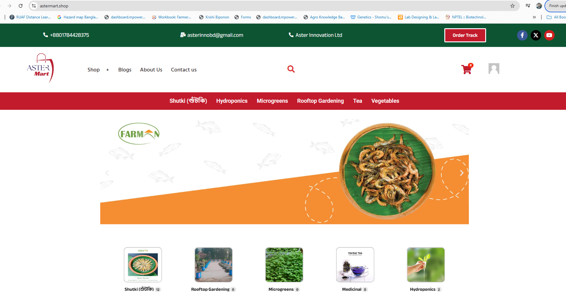 Wordpress E-Commerce Developer